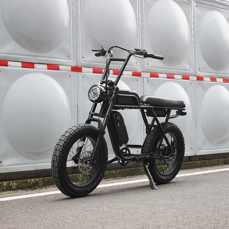 Ripper Pro - Dual-Battery 48V 750W Moto Style Electric Bike