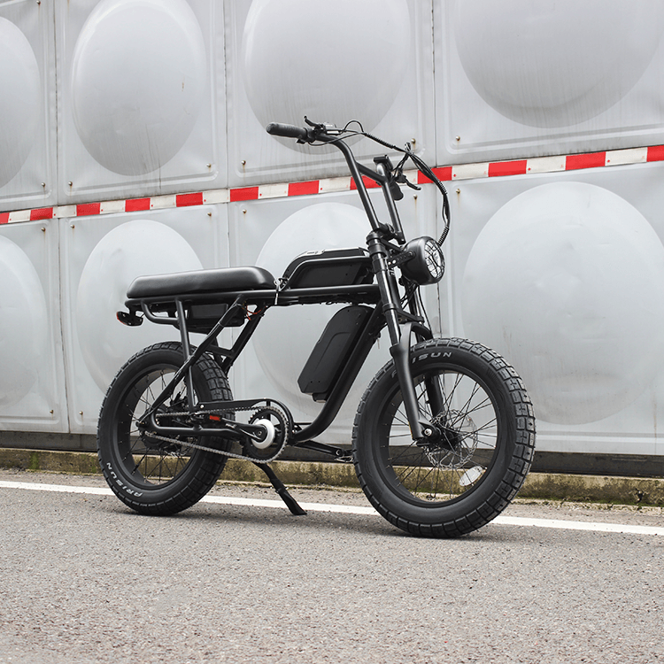 Ripper Pro - Dual-Battery 48V 750W Moto Style Electric Bike