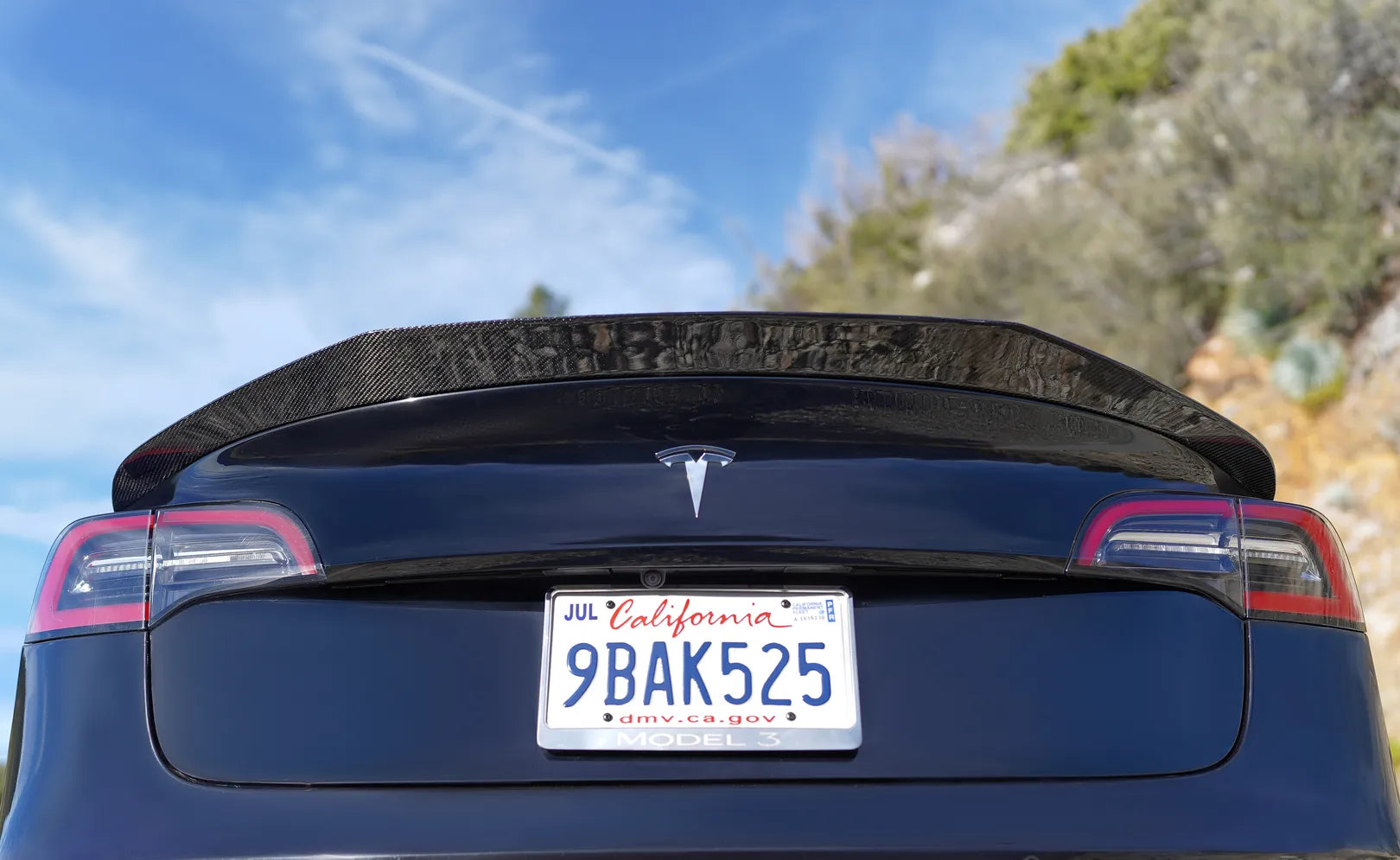 Glossy Carbon Fiber V-Style Spoiler