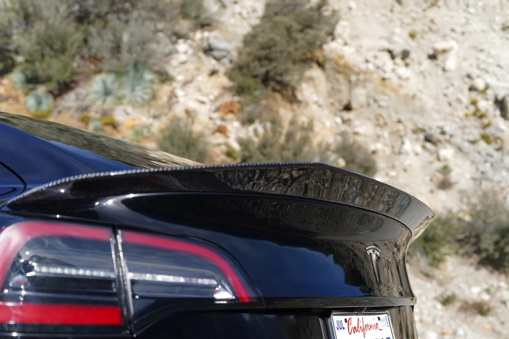 Glossy Carbon Fiber V-Style Spoiler