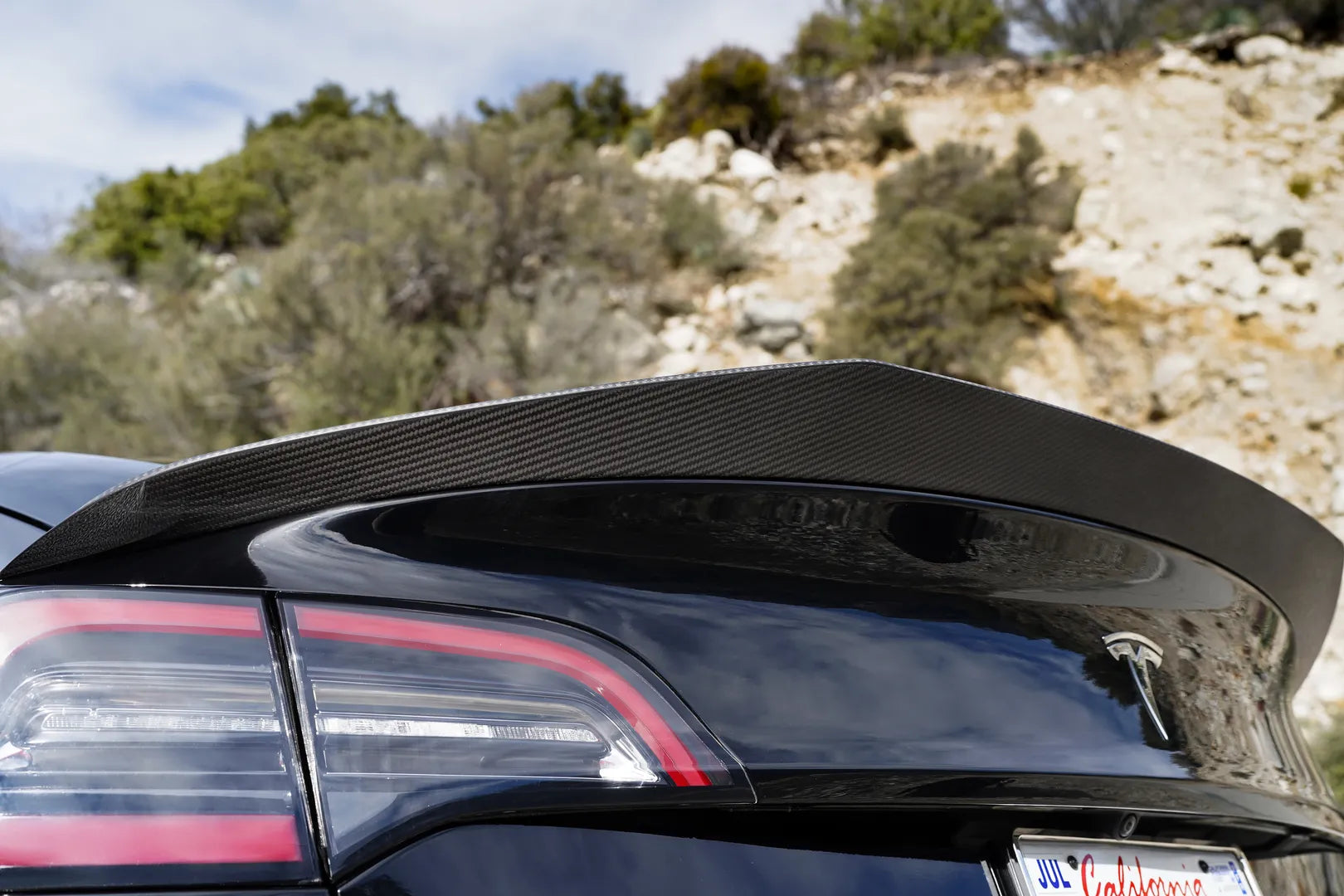 Matte Carbon Fiber V-Style Spoiler