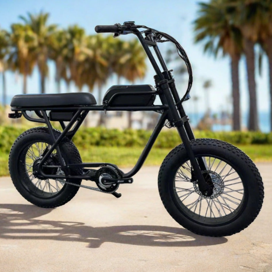 Ripper 2 - 48V 750W Moto Style Electric Bike